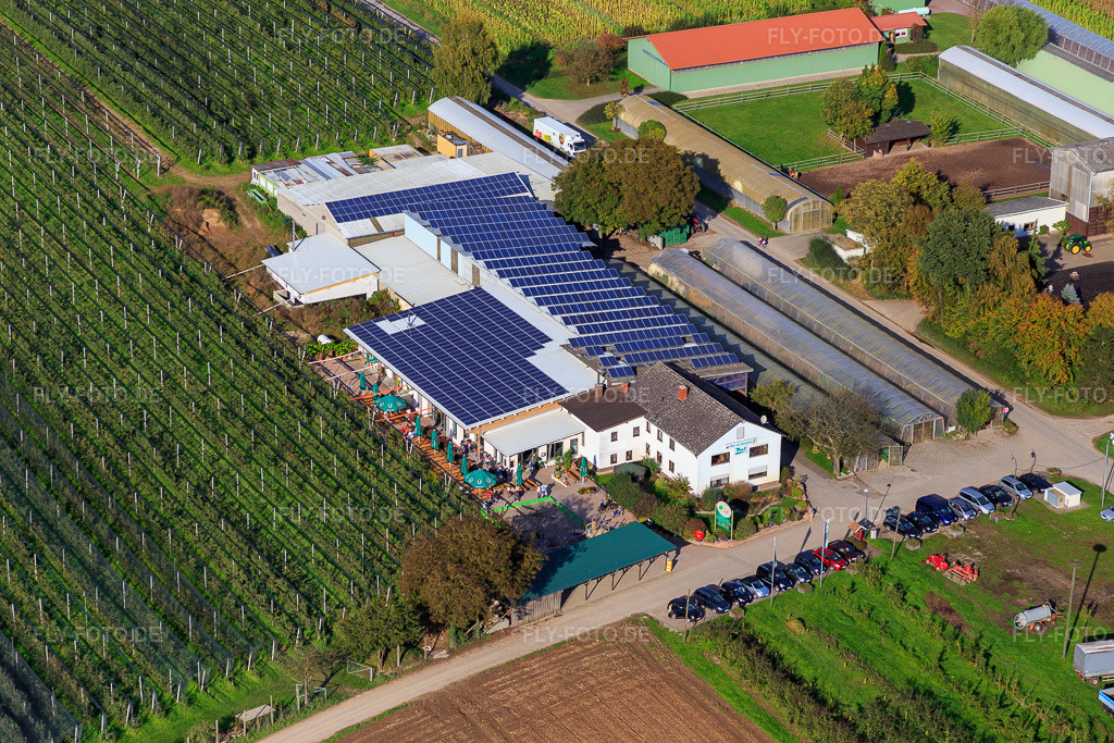 Luftbild: Zapf Hofmarkt, Obst und Spargelhof, Hofcafé Zapf in Kandel im Bundesland Rheinland-Pfalz in Deutschland. Foto: IMG_074549.jpg vom 14.10.2014 durch Werner Riehm/FLY-FOTO.deHofmarkt Zapf Kandel