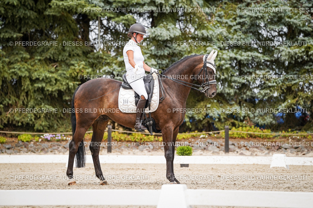 DSC06337 | Pferdegrafie