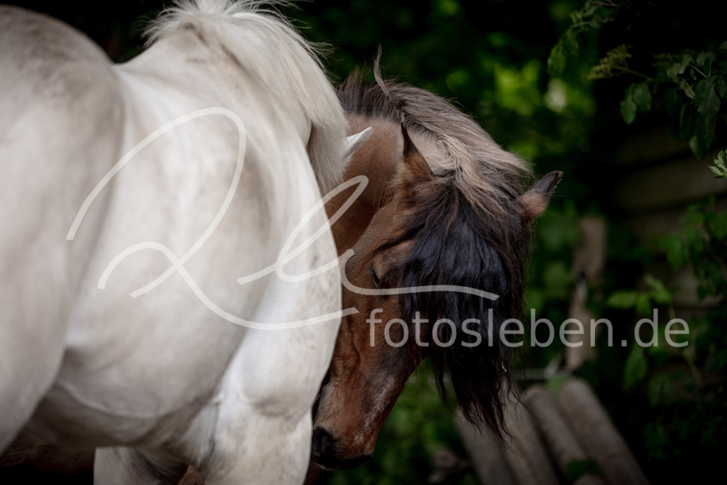 846A0475 | fotosleben - Realisiert mit Pictrs.com