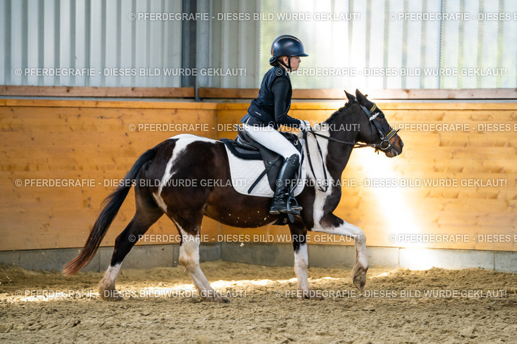 DSC01909 | Pferdegrafie