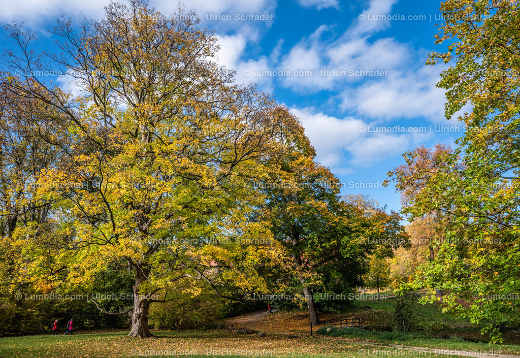 10049-12582 - Schloßpark Ilsenburg im Harz | Stockfoto und Bilderpool mit Bildmaterial aus Deutschland, dem Harz, Halberstadt, Quedlinburg, Wernigerode und weltweit. Qualitativ hochwertige und professionelle Fotos anschauen und kaufen. - Realisiert mit Pictrs.com