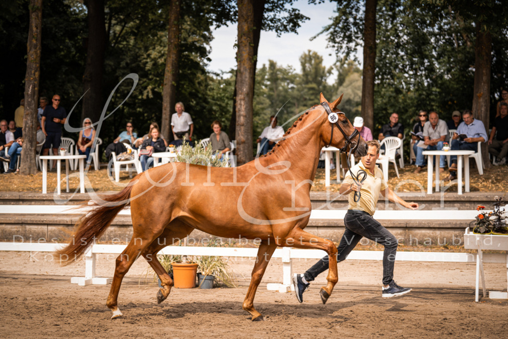 5.Fr00035 | Leoni Ertmer Photography - Realisiert mit Pictrs.com