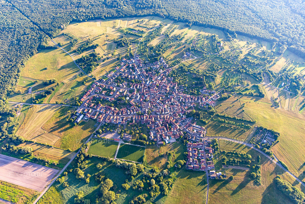 Luftbild: im Sommer im Ortsteil Büchelberg in Wörth im Bundesland Rheinland-Pfalz in Deutschland. Foto: IMG_141940.jpg vom 28.06.2024 durch Werner Riehm/FLY-FOTO.de