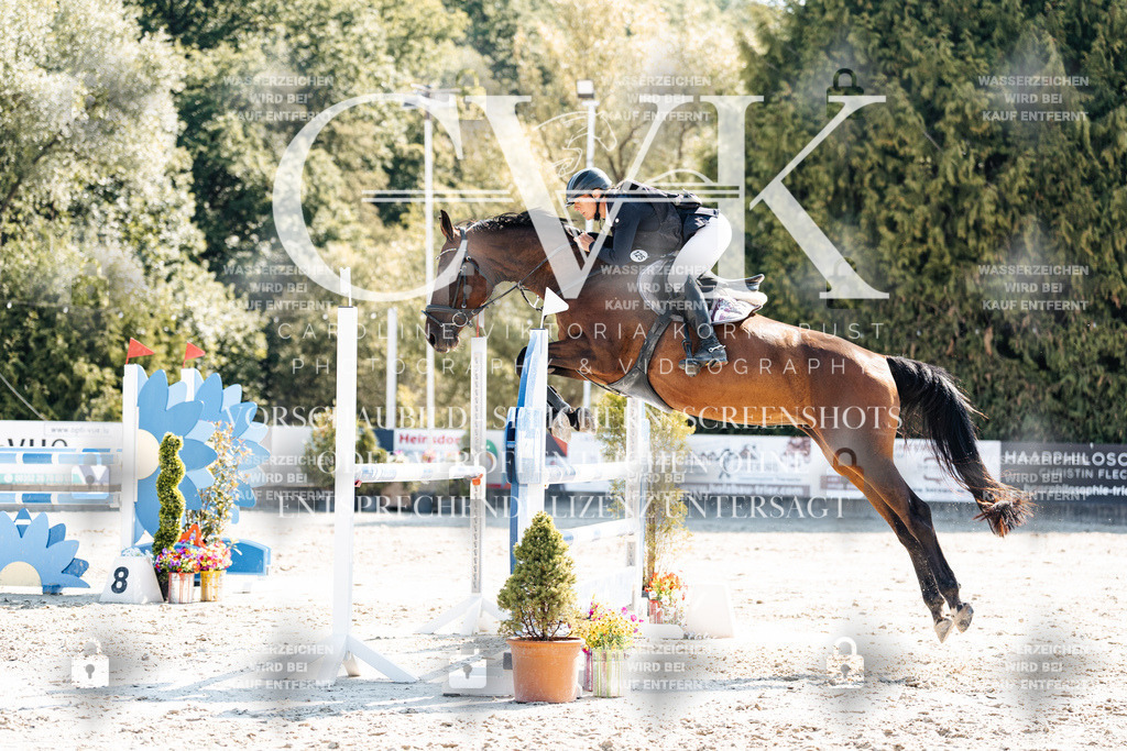CK902675 | Turnierfotografie Pferdefotografie Trier Rheinland-Pfalz Pferdesport Reitsport Tierfotografie Sportfotografie Pferdevideo Pferdevideografie Equestrianvideography equestrianphotography  - Realisiert mit Pictrs.com