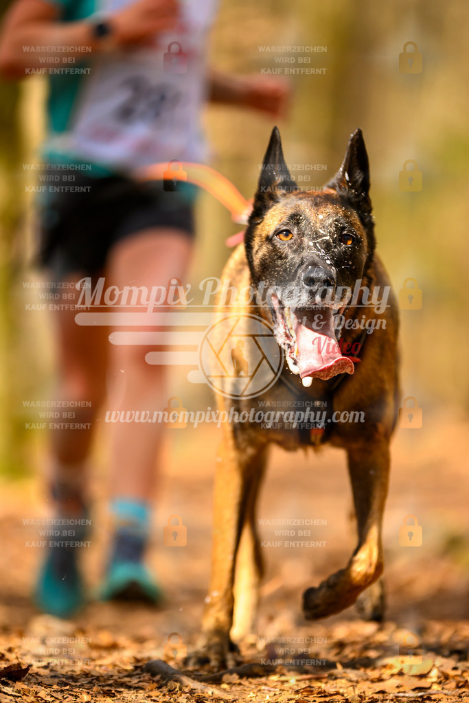 MompixPhotography_Habay2025_SA_CCC-113 | PayLife