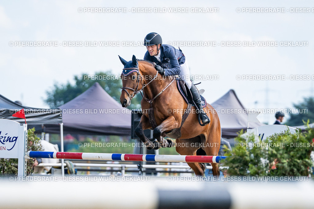 DSC06590 | Pferdegrafie