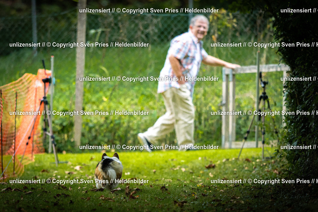 Sven Pries | 2025-09-21 - Hunderennen Baden-Oos - Realisiert mit Pictrs.com