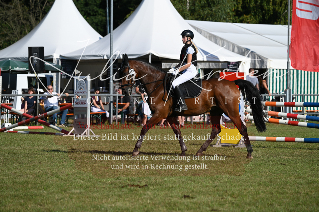 DSC_5143 | Pferde- und Turnierfotografie in Westsachsen. Pferdeportraits, Auftragszeichnungen und intuitive Kunst.