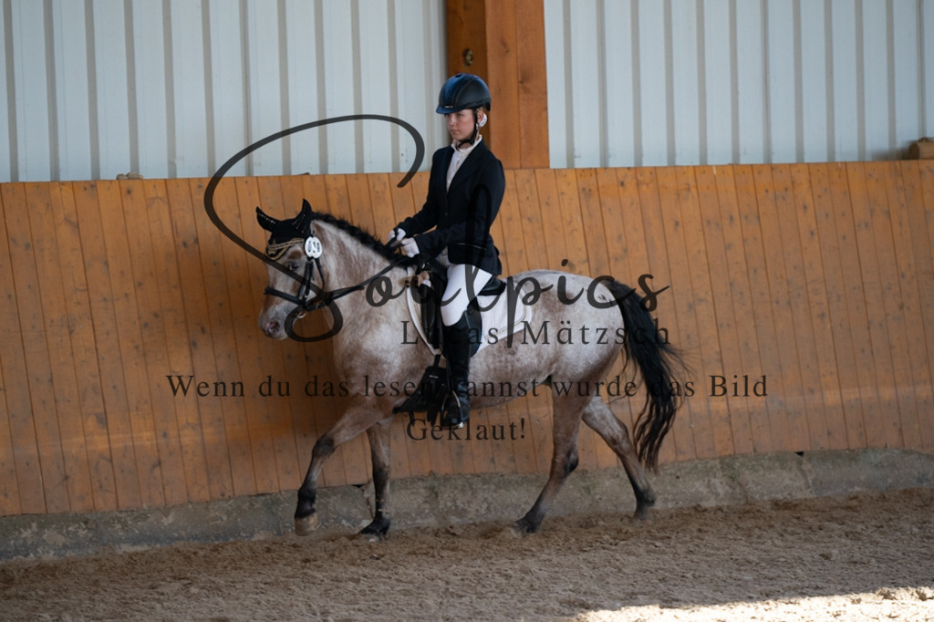 A7V01687 | Turnier/Reitfotograf