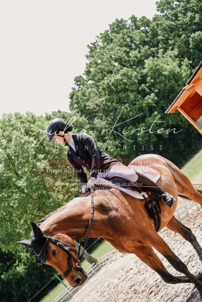 DSC_0991 | Pferde- und Turnierfotografie in Westsachsen. Pferdeportraits, Auftragszeichnungen und intuitive Kunst.