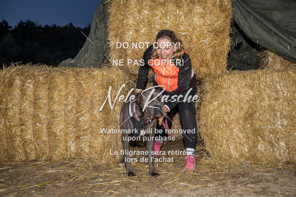 nelerasche_FrNacht_300 | nelerasche