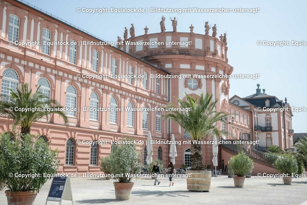 ZFC_3956 | equistock