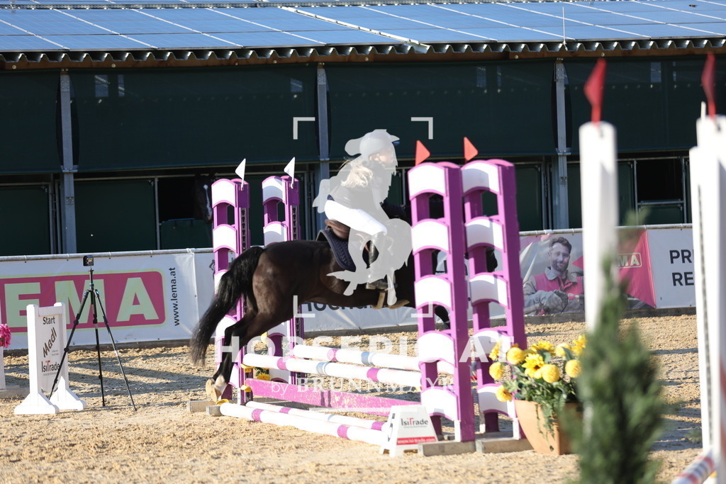 0P6A6663 | Willkommen bei Brunnmayr - Design & Fotografie – Ihrem Spezialisten für Reitturniere und Pferdeveranstaltungen in Oberösterreich, Salzburg und Bayern! Seit über 17 Jahren sind wir leidenschaftlich dabei.
