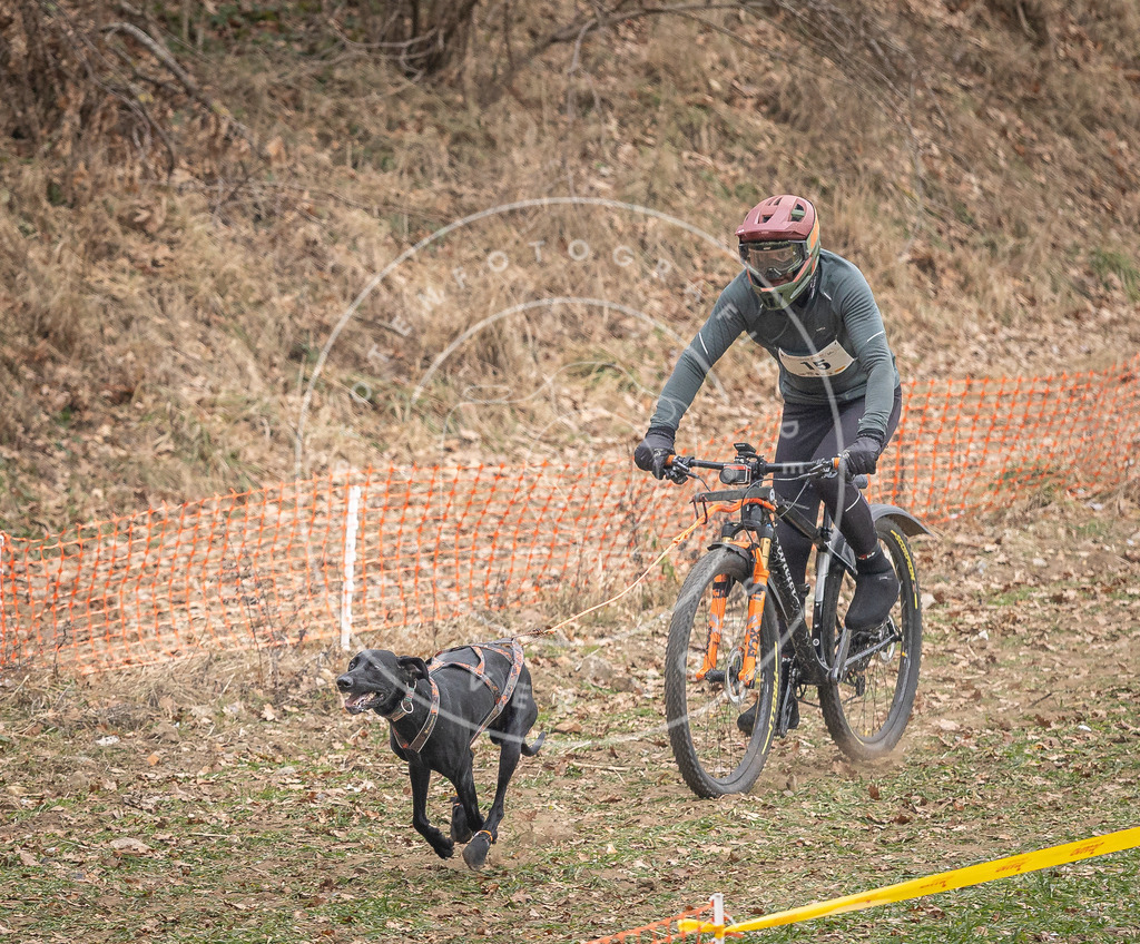 Pfotenfotografie_DV3A6853 | Hundefotografie, Tierfotograf, Pfotenfotografie, Fotoshooting Hund, Hunde Portrait, Hundesport, Hundeportraits, Heideshooting, Hunde, Sportfotograf, Hundefotograf, Turnierhundsport, THS,  - Realisiert mit Pictrs.com