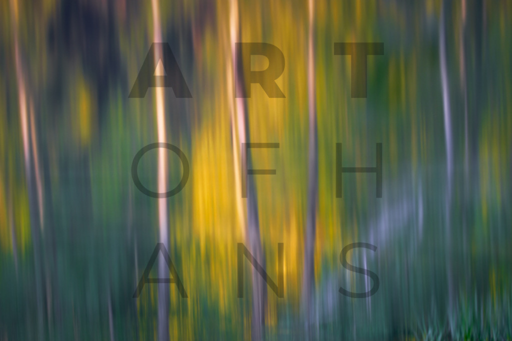 Ein Hans Fineart Original | Entdecke die Kunst von Hans Fineart - Fotografien für dein Zuhause. Verwandle deine Wände mit einzigartigen Kunstwerken und bringe die Schönheit der Welt in dein Leben. Bestelle jetzt und schaffe einen Ort der Inspiration und Eleganz.