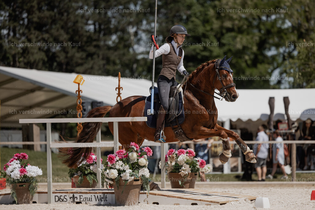 WE_SP_Stoib_342_PI2025_1821 | Pferd International München 2025