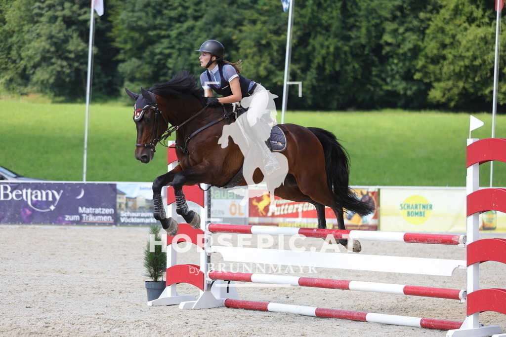 0P6A8635 | Willkommen bei Brunnmayr - Design & Fotografie – Ihrem Spezialisten für Reitturniere und Pferdeveranstaltungen in Oberösterreich, Salzburg und Bayern! Seit über 17 Jahren sind wir leidenschaftlich dabei.
