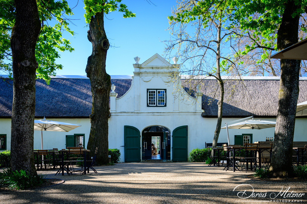 _DSC5693 | Fotografien, Fotos und Bilder aus Mainz, Frankfurt, Wiesbaden und anderen Orten auf der Welt - Fotografiert von Darius Metzner