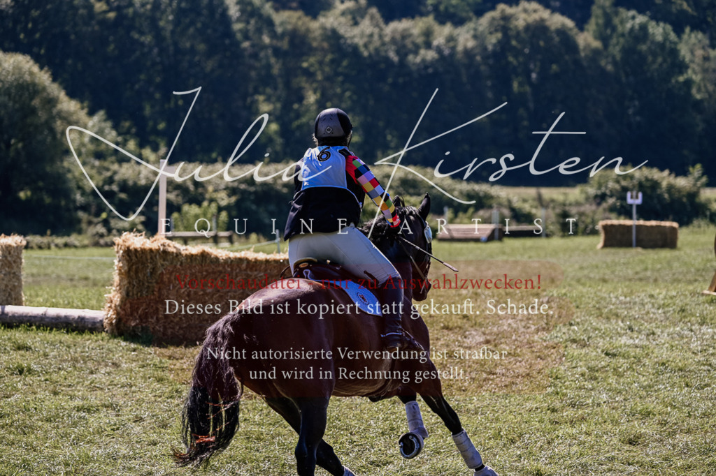 DSC_1587 | Pferde- und Turnierfotografie in Westsachsen. Pferdeportraits, Auftragszeichnungen und intuitive Kunst.