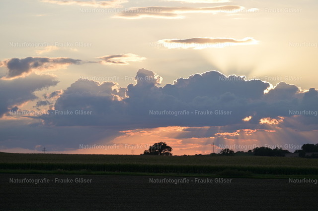 Abendlicht (2) | Naturfotografie Frauke Gläser - Realisiert mit Pictrs.com