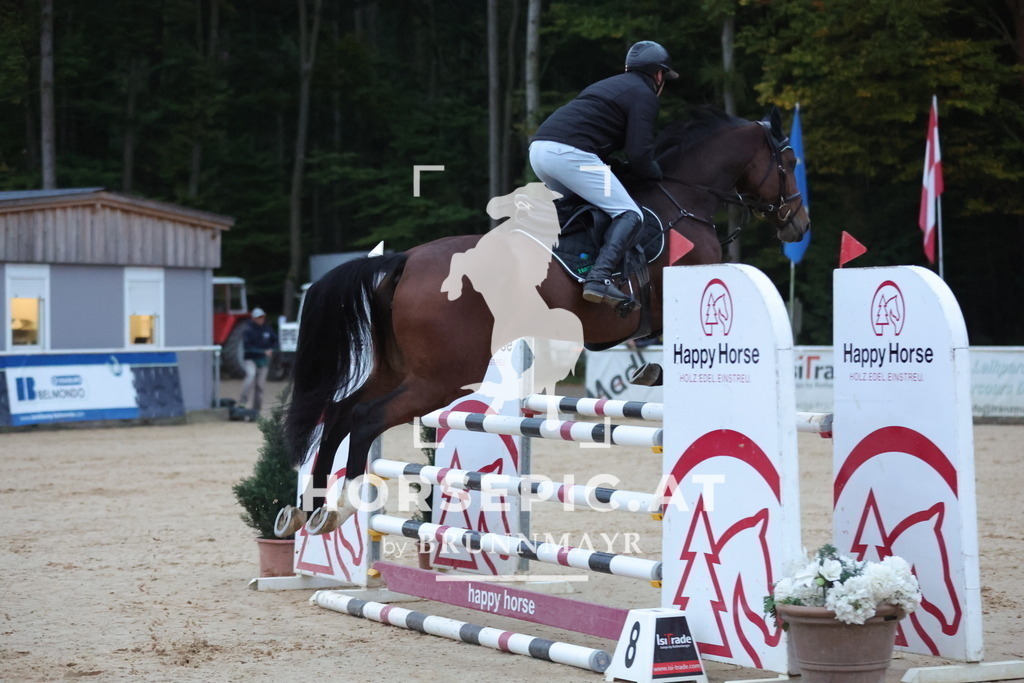 0P6A5182 | Willkommen bei Brunnmayr - Design & Fotografie – Ihrem Spezialisten für Reitturniere und Pferdeveranstaltungen in Oberösterreich, Salzburg und Bayern! Seit über 17 Jahren sind wir leidenschaftlich dabei.