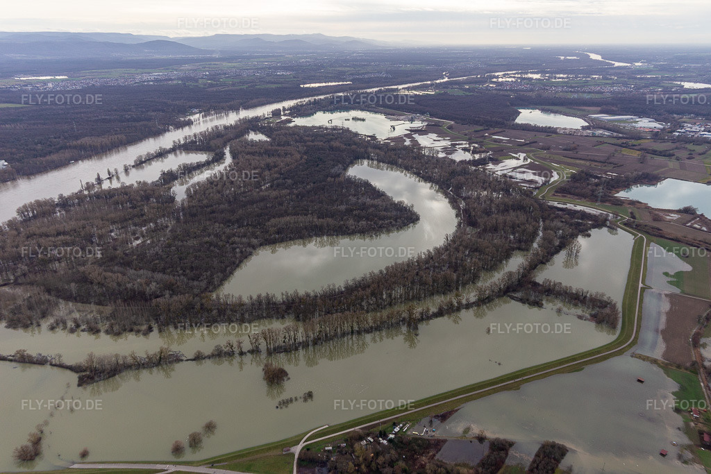 Luftbild: Hagenbacher Altrhein vor der Insel Nauas mit Goldgrund bei Rhein-Hochwasser im Ortsteil Maximiliansau in Wörth im Bundesland Rheinland-Pfalz in Deutschland. Foto: IMG_124261.jpg vom 04.02.2021 durch Werner Riehm/FLY-FOTO.de