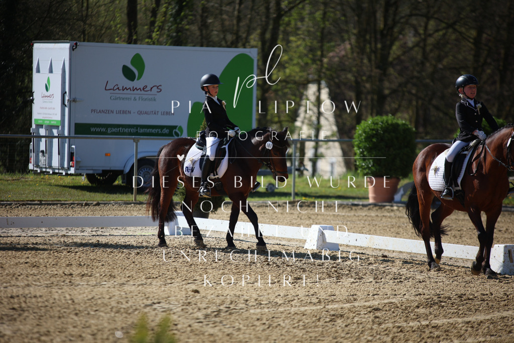 IMGT9593 | pl-fotografie