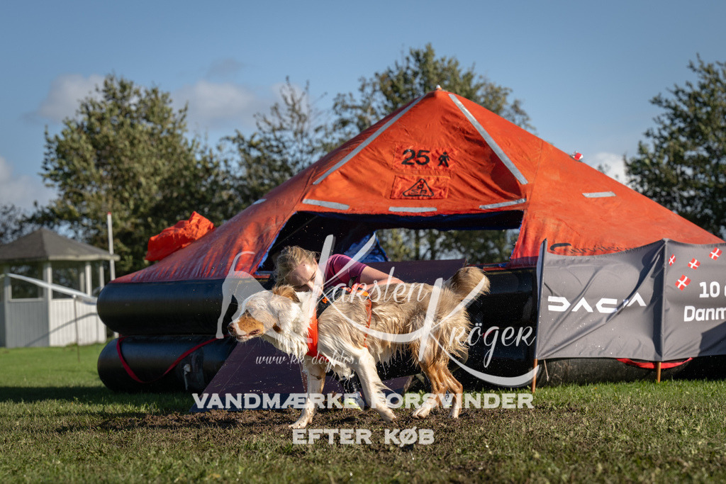 1447-90012 | kk-dogfotos