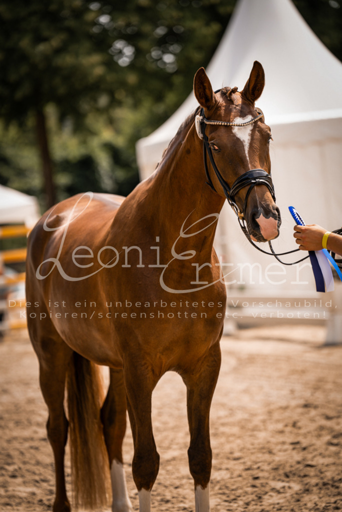 2. Fr00200 | Leoni Ertmer Photography - Realisiert mit Pictrs.com