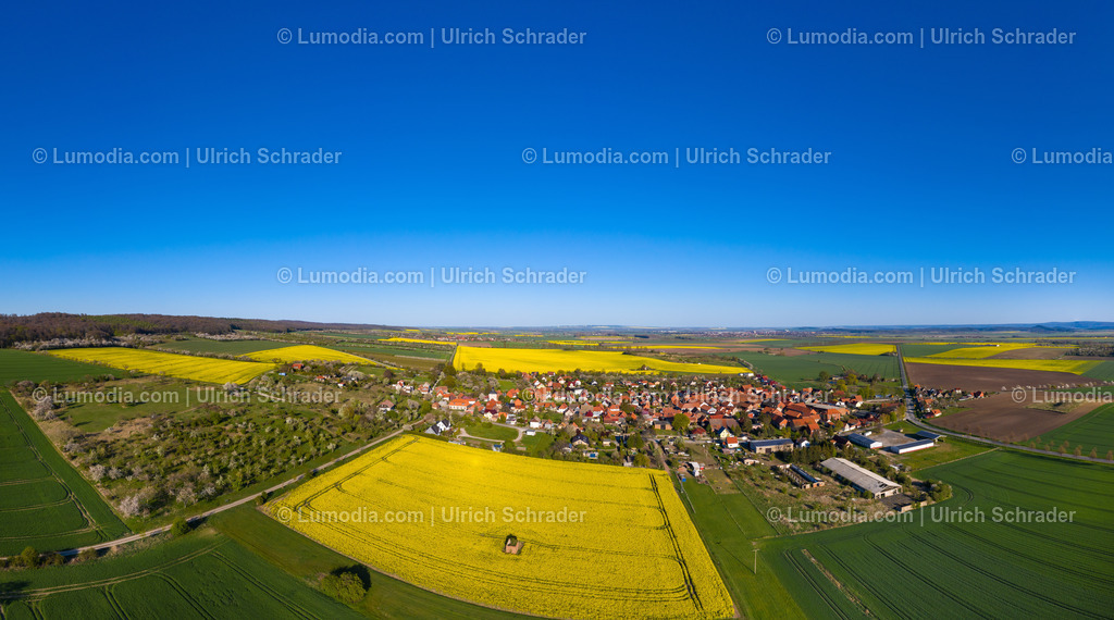 10049-50902 - Aspenstedt bei Halberstadt | Stockfoto und Bilderpool mit Bildmaterial aus Deutschland, dem Harz, Halberstadt, Quedlinburg, Wernigerode und weltweit. Qualitativ hochwertige und professionelle Fotos anschauen und kaufen. - Realisiert mit Pictrs.com