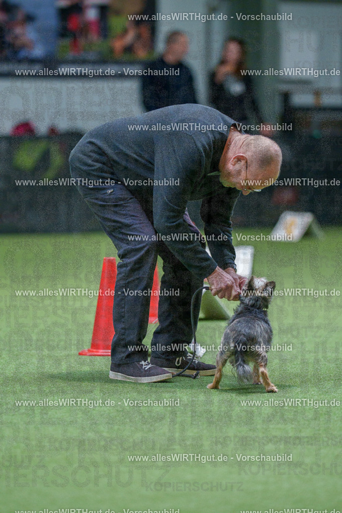 7R506172 | Professionelle Tierfotografie in Mönchengladbach von Daniel Wirth (allesWIRTHgut). Liebevolle & natürliche Bilder von Hunden & Katzen für unvergessliche Erinnerungen.