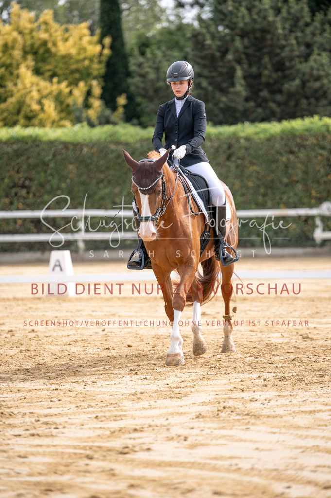 Schugtsche-Aluta25-40.DressurprfA_-220 | Schugtsche Fotografie - Realisiert mit Pictrs.com
