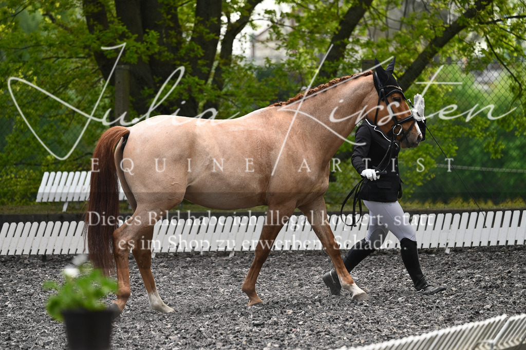20230512_JK-Röhrsdorf-01-126 | Pferde- und Turnierfotografie in Westsachsen. Pferdeportraits, Auftragszeichnungen und intuitive Kunst.