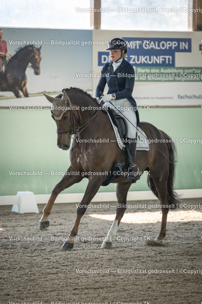 _D5A9203 | Emotionale Pferde- & People-Fotografie rund um Heidelberg, Leimen & Umgebung. Natürliche Fotos von Pferd, Mensch & Familie. Jetzt Termin sichern!