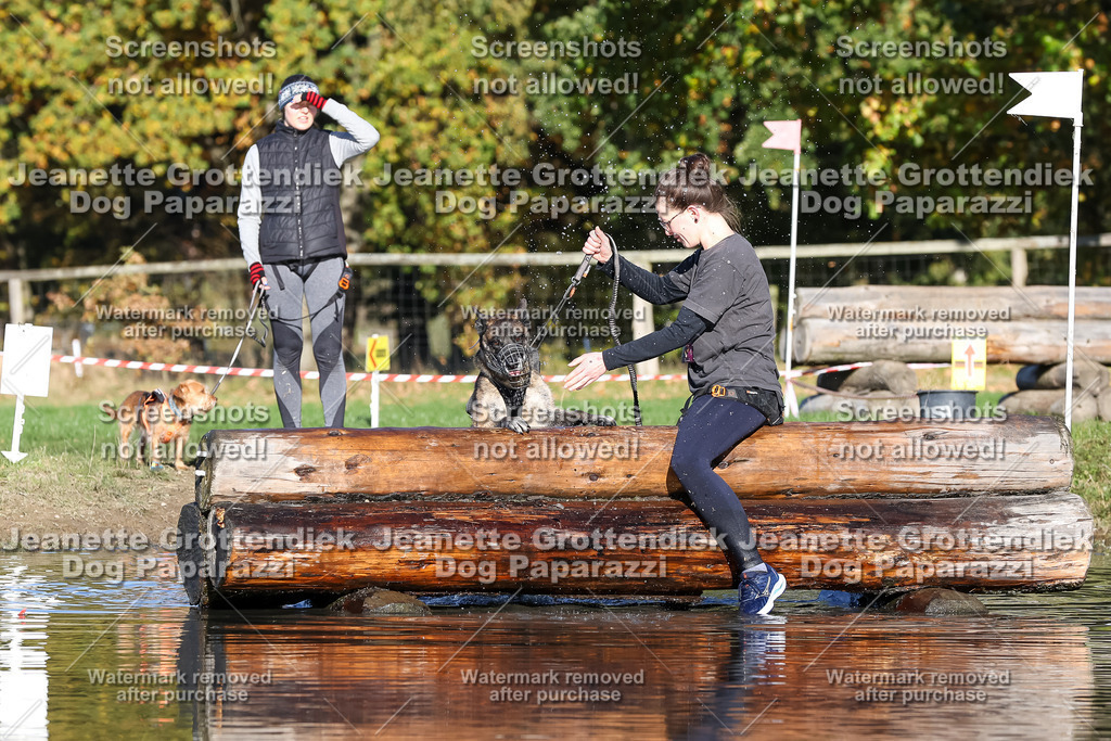 Dog Paparazzi - Strongdog 10-25-8881 | Dog Paparazzi Jeanette Grottendiek Fotografie & Videografie - Realisiert mit Pictrs.com