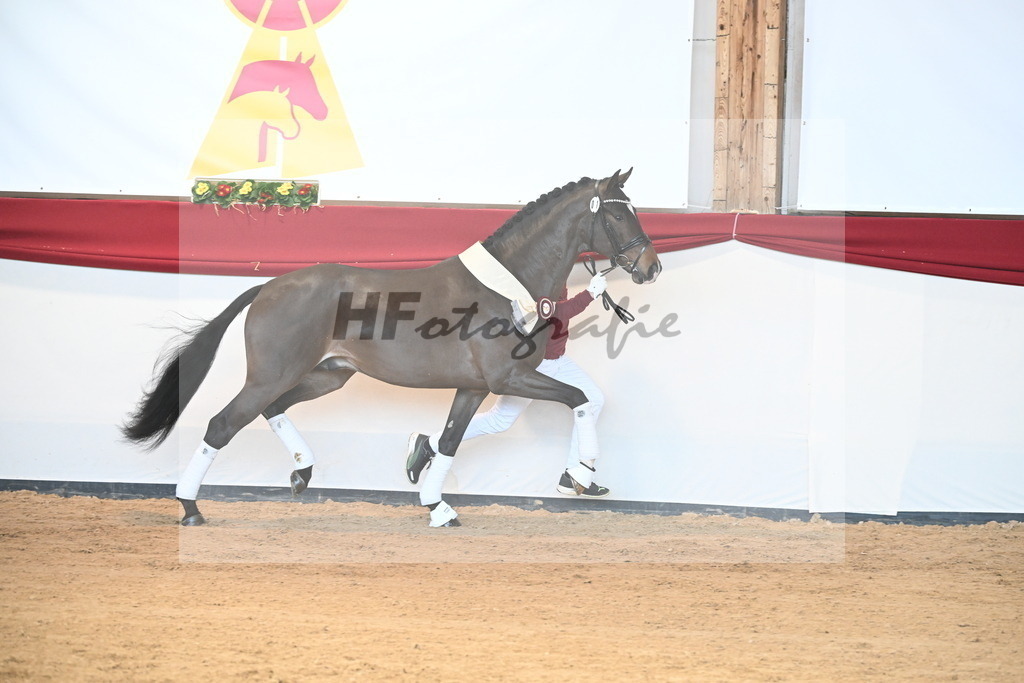 Kat.-Nr. 71 v. Va Bene_Müller_2242638 | hf-fotografie - Realisiert mit Pictrs.com