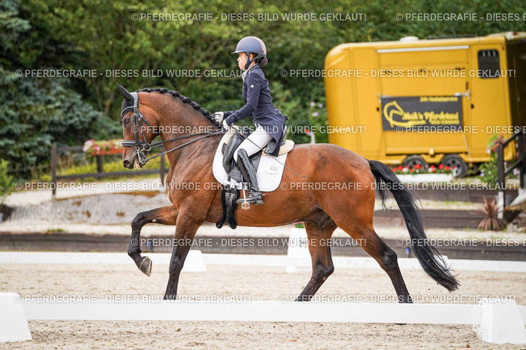 DSC05410 | Pferdegrafie