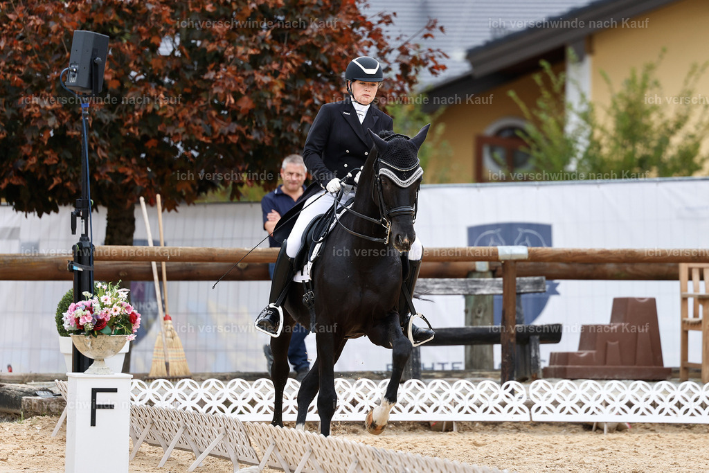 11-093-Dressur S___-StoibPH-1346 | working equitationturnier fotograf videograf stoibphotography marixx film working equitation deutschland reitsport turnierfotografie eventfotografie equestrian events