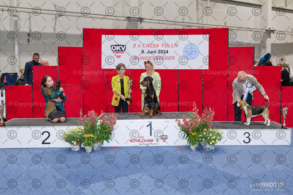 202406_ÖKV-IHA-Tulln24_NZ9_9455 | proPHOTO - Realisiert mit Pictrs.com