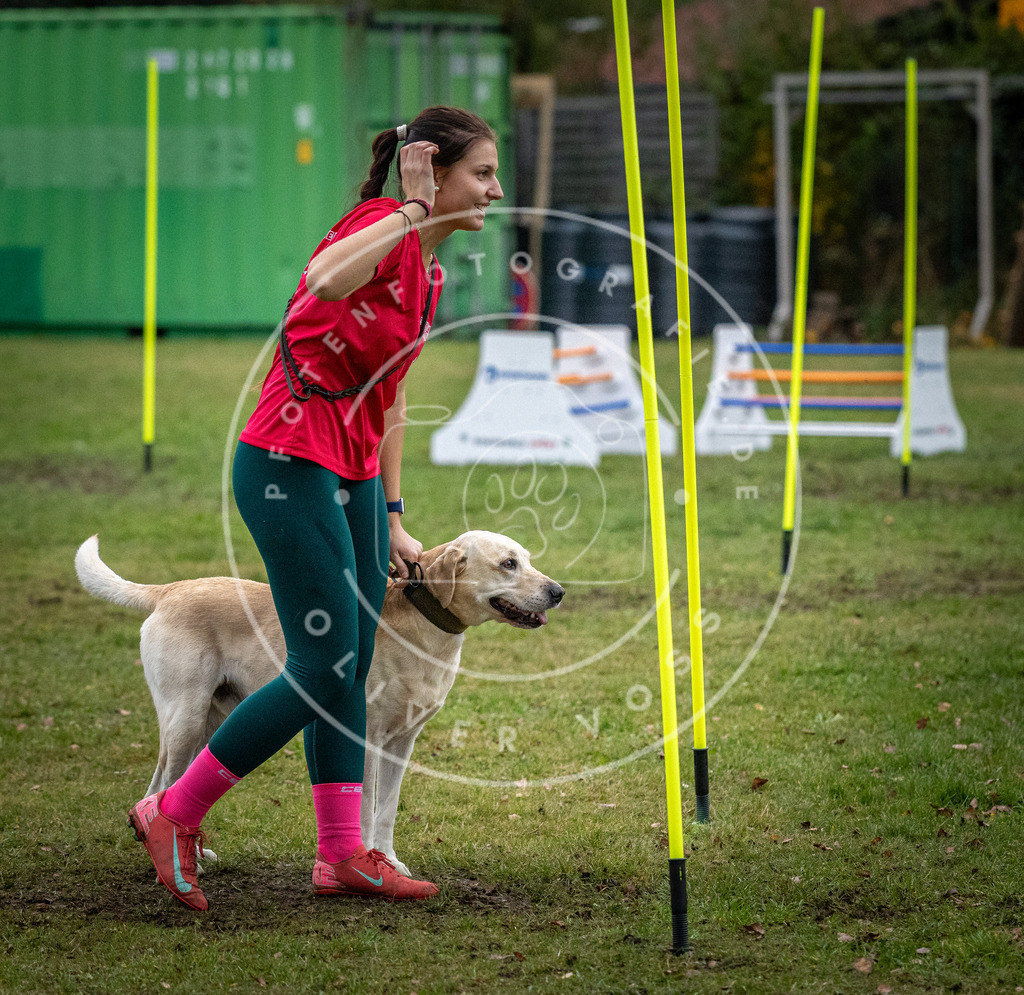 Pfotenfotografie_DV3A1441 | Hundefotografie, Tierfotograf, Pfotenfotografie, Fotoshooting Hund, Hunde Portrait, Hundesport, Hundeportraits, Heideshooting, Hunde, Sportfotograf, Hundefotograf, Turnierhundsport, THS,  - Realisiert mit Pictrs.com