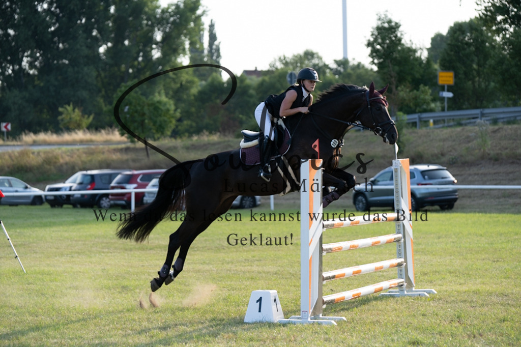 A7V01035 | Pferdefotograf