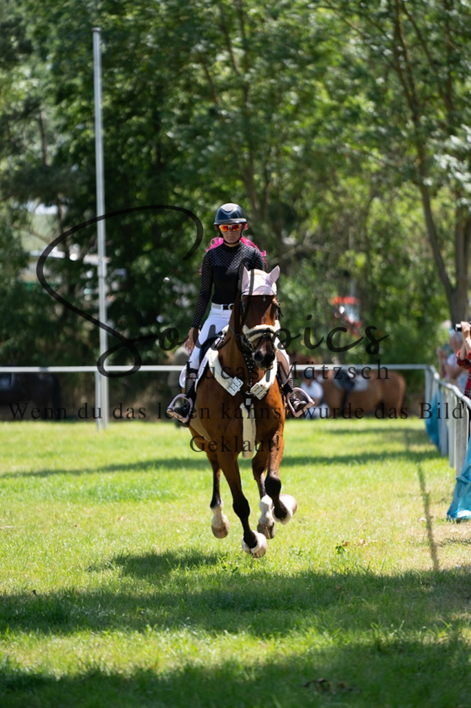 A7V06152 | Pferdefotograf