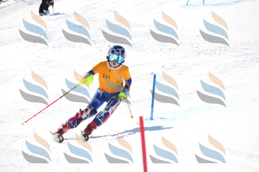 C9587 | holidayphoto