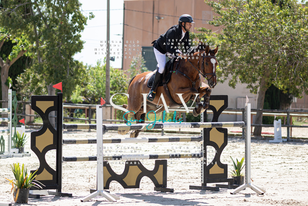 IMG_0064 | s-jay-photography - Realisiert mit Pictrs.com