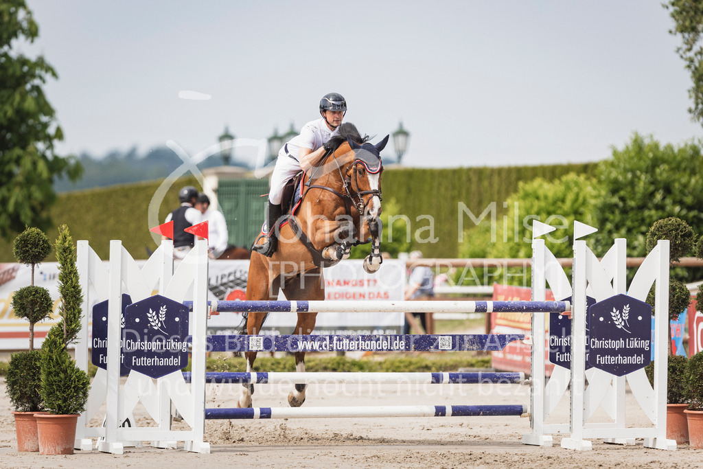 250531_MayDays_M2-Springen-545 | Deine schönsten Turniermomente als professionelle Fotos! Entdecke hochwertige Pferdesport-Fotografie im Online-Shop. Jetzt Fotos finden & bestellen!