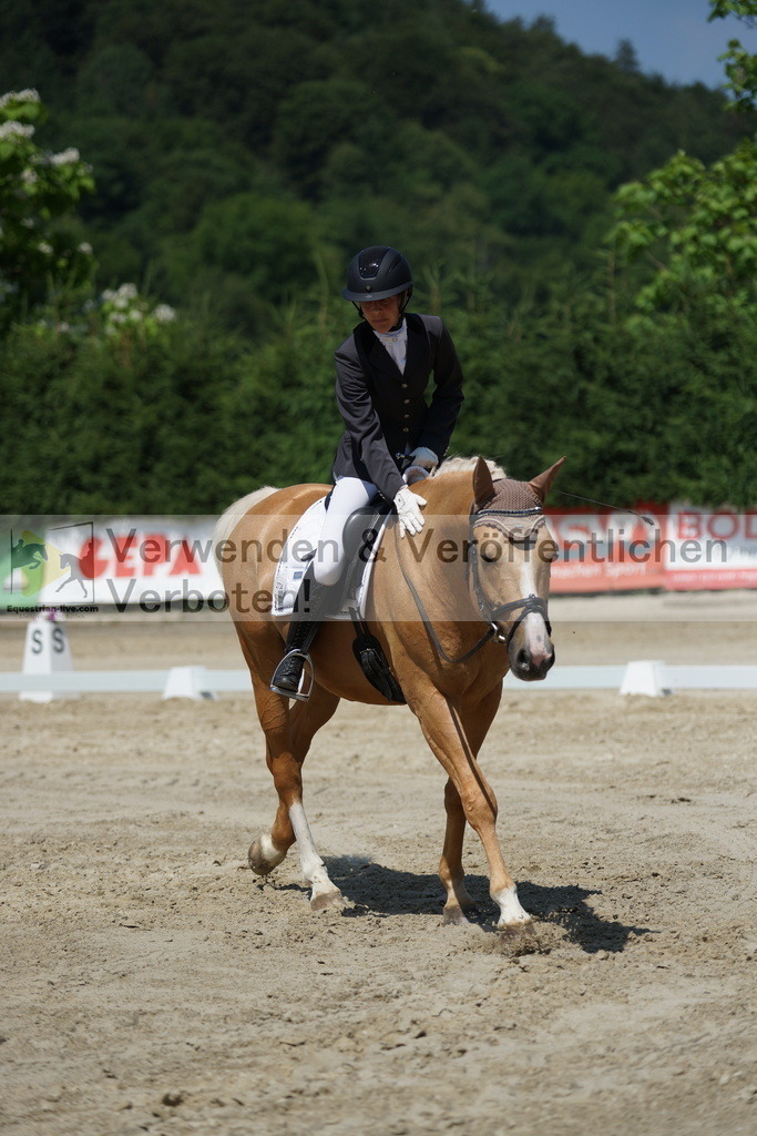 DSC01709 | equestrian-live-com