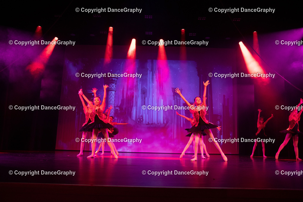 GPHY3234 | DanceGraphy - Realisiert mit Pictrs.com