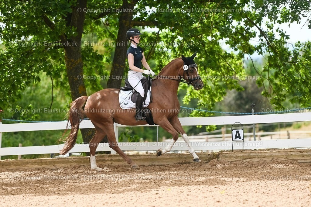 20230715_07_Dressurpferdeprfg. Kl.L_0093 | equistock
