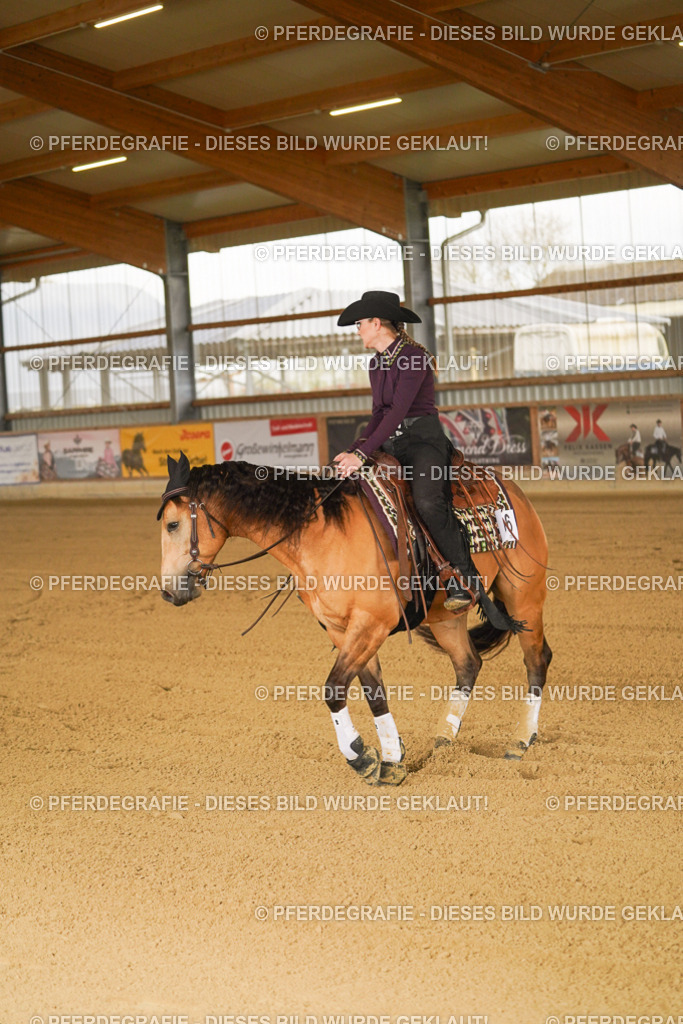 DSC00529 | Pferdegrafie