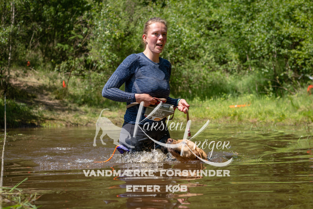 DK K991541141418 | kk-dogfotos